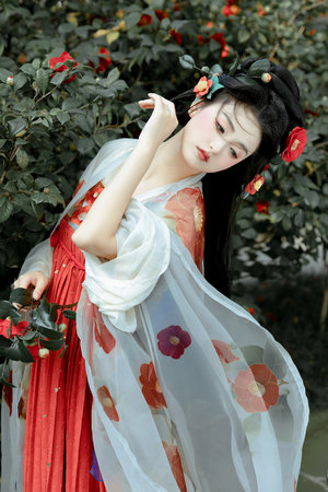 永久域名发布页